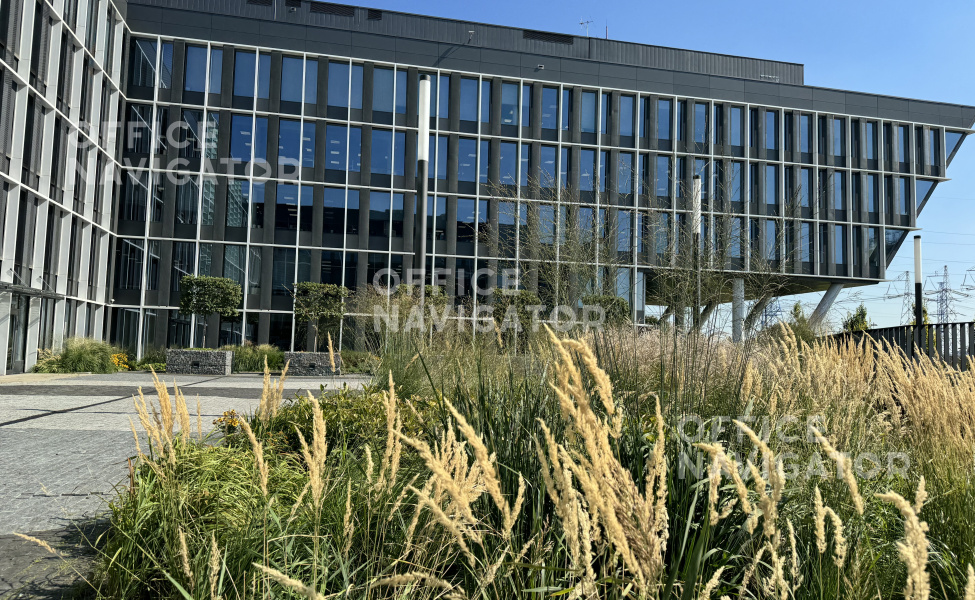 Аренда офиса 520 м², 6 этаж, в бизнес-центре Comcity, Браво
